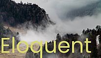 Kup Eloquent na PC