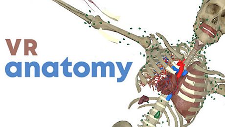 VR Anatomy Game