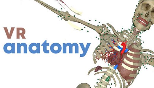 VR Anatomy