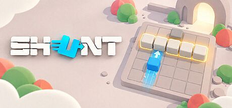 Shunt