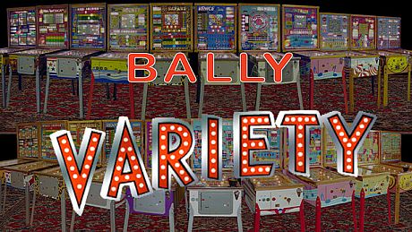 Bingo Pinball Gameroom - Bally Variety DLC