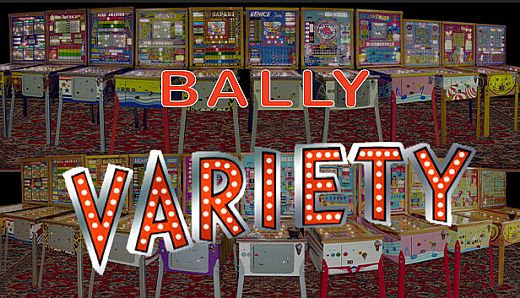 Bingo Pinball Gameroom - Bally Variety