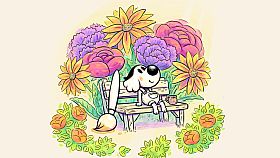 Chicory: A Colorful Tale