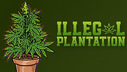 Illegal Plantation