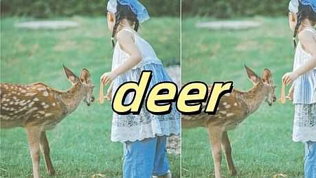 deer Game