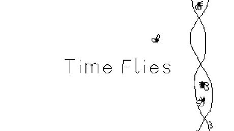 Time Flies Game