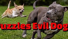 Puzzles Evil Dogs