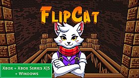 Bundle - FlipCat