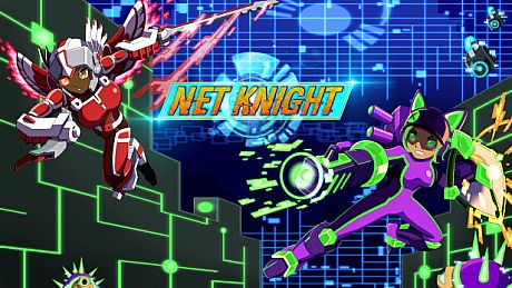 Net Knight Game