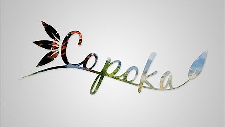 Copoka Game
