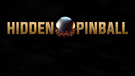 Hidden Pinball Game