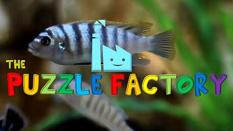 The Puzzle Factory Game