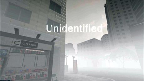 Unidentified Game