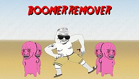 Boomer Remover
