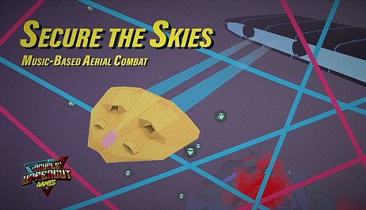 Secure the Skies
