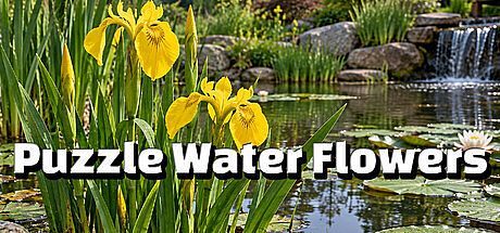 Puzzle Water Flowers Game