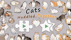 Cats Huddled Together 挤在一起的猫猫们