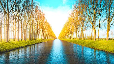 Just Find It Collector's Edition Game