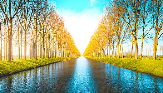 Just Find It Collector's Edition