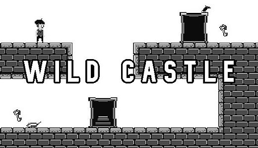 Wild Castle