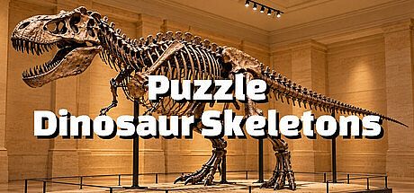 Puzzle Dinosaur Skeletons Game