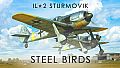 IL-2 Sturmovik: Steel Birds Campaign