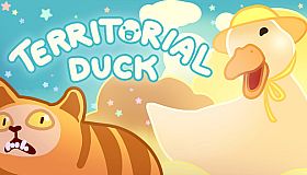 Territorial Duck