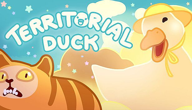 Buy Territorial Duck