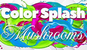 Color Splash: Mushrooms