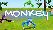 Monkey für PC kaufen