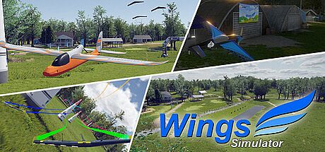 Wings Simulator Game