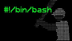 #!/bin/bash