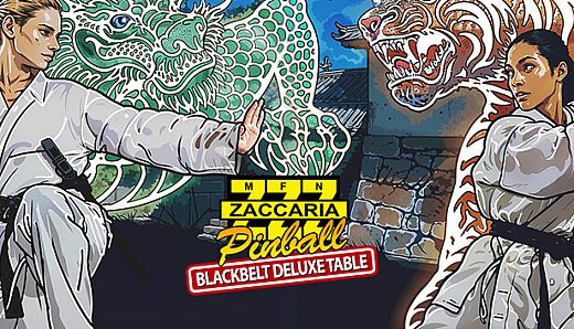 Zaccaria Pinball - Blackbelt Deluxe Pinball Table