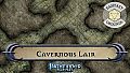 Fantasy Grounds - Pathfinder RPG - Pathfinder Flip-Mat - Cavernous Lair