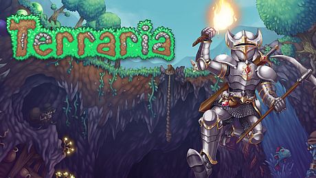 Terraria Game