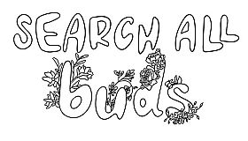 SEARCH ALL - BUDS