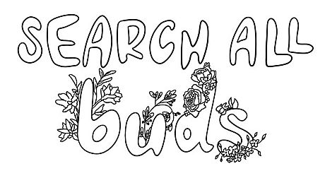 SEARCH ALL - BUDS Game