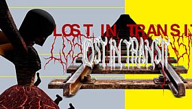 LOST IN TRANSIT