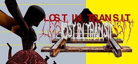 LOST IN TRANSIT