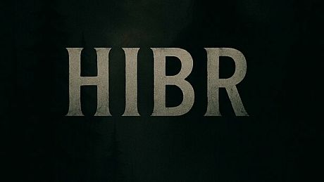 HIBR Game