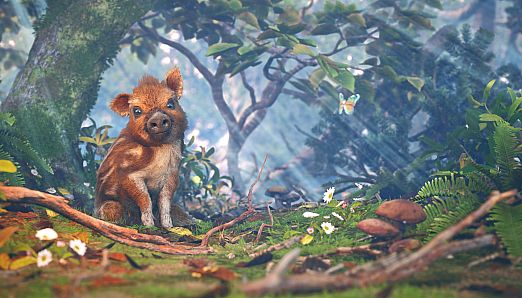 Adorable Adventures