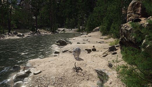 Cazzarion: Raccoon Valley