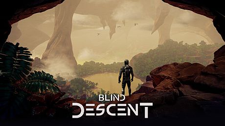 Blind Descent Game