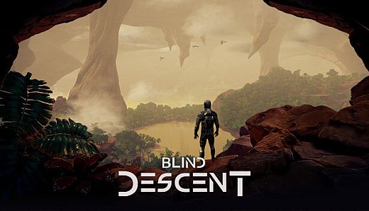 Blind Descent