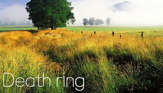 Death ring