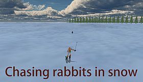 Chasing rabbits in snow