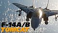 DCS: F-14A/B Tomcat by Heatblur Simulations