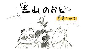 里山のおと 夏草こみち