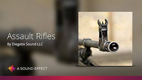 Sound FX: Assault Rifles DLC