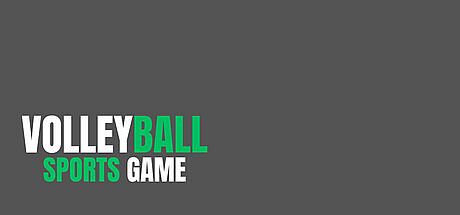 Volleyball Sports Game Game